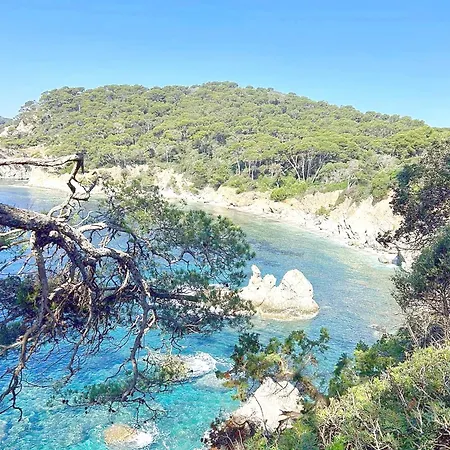 Beautiful Giens Peninsula Holiday home
